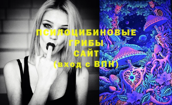 гидра Абинск