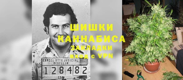 трава Алексин