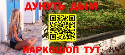 мдпв Кингисепп