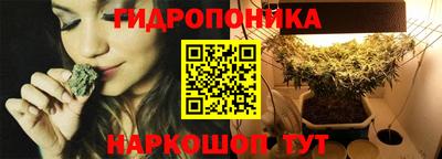 мдпв Кингисепп
