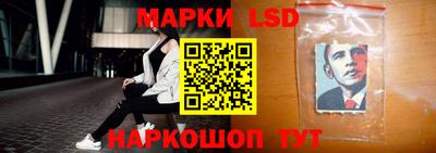 мдпв Кингисепп