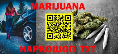 мдпв Кингисепп