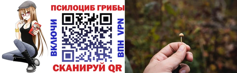 Галлюциногенные грибы прущие грибы как найти закладки Нижнекамск