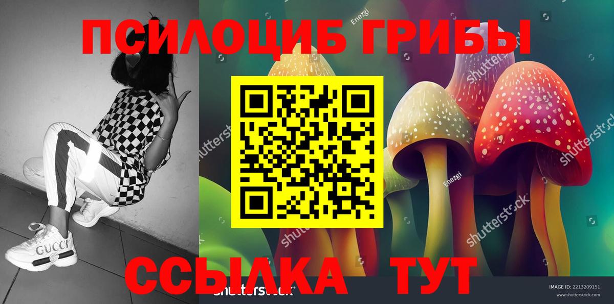 Галлюциногенные грибы MAGIC MUSHROOMS Нижнекамск