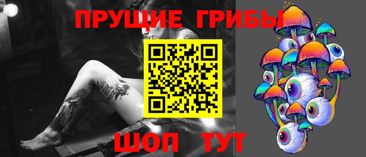 Псилоцибиновые грибы мицелий  Вход с VPN  Псилоцибиновые грибы Psilocybe  Нижнекамск 